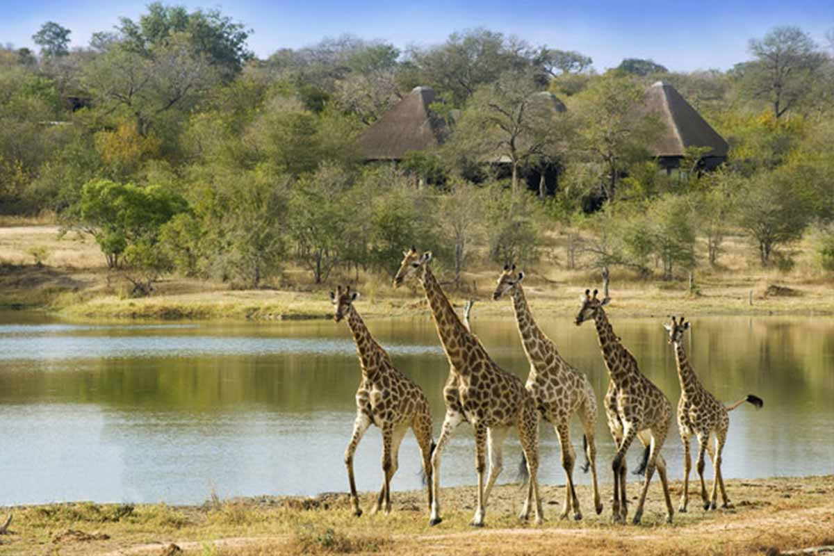 Kruger National Park