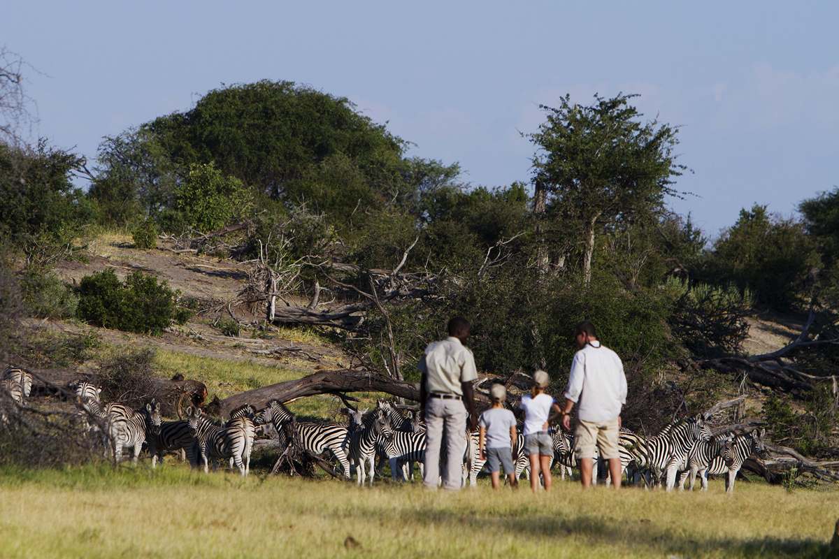 Botswana | Safari Tours & Holiday | African Welcome Safaris