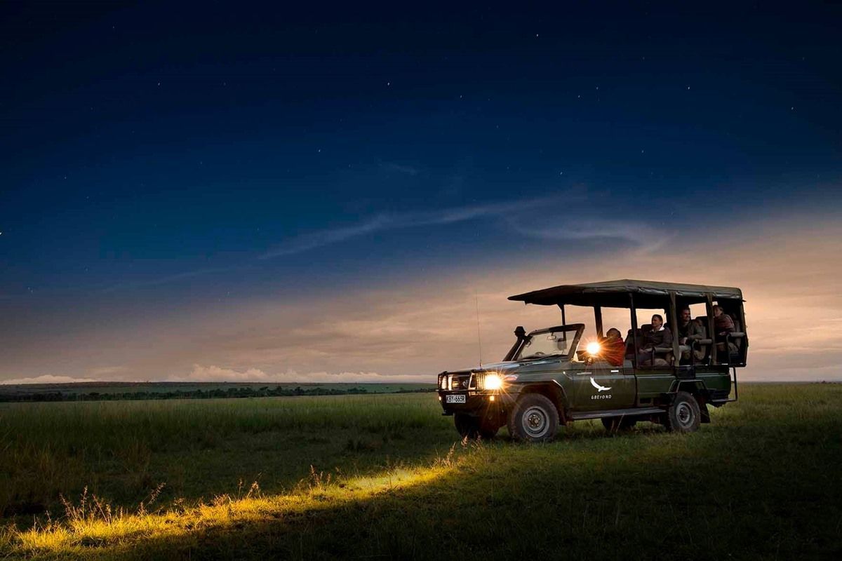 Bateleur Camp Night Drive