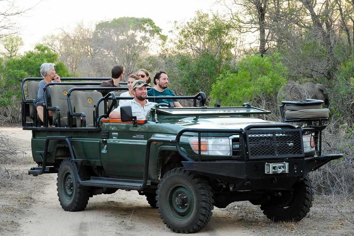 Kruger National Park - Game Drive